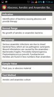 Normal Lab Values