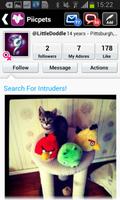 Pets: Pics of your Cat or Dog