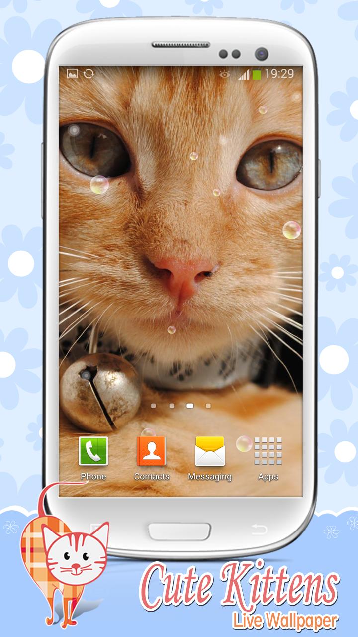 Cute Kittens Live Wallpaper