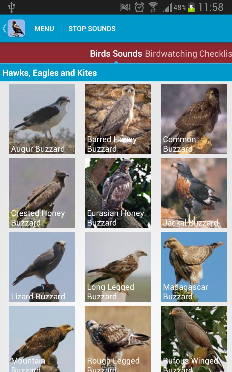 Birds of Prey Sounds Free