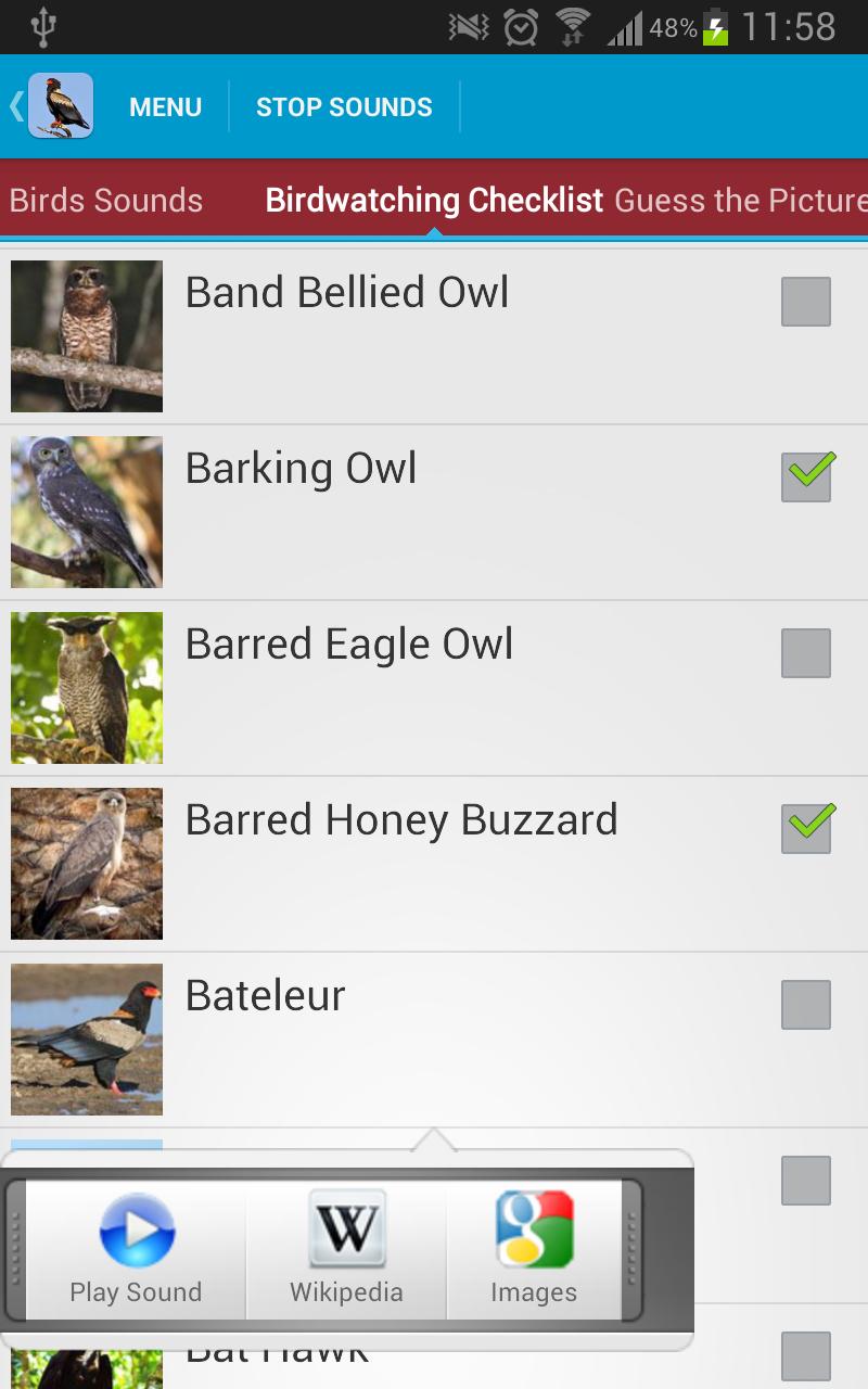 Birds of Prey Sounds Free