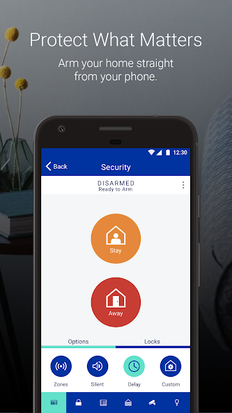 Brinks Home | Protect America