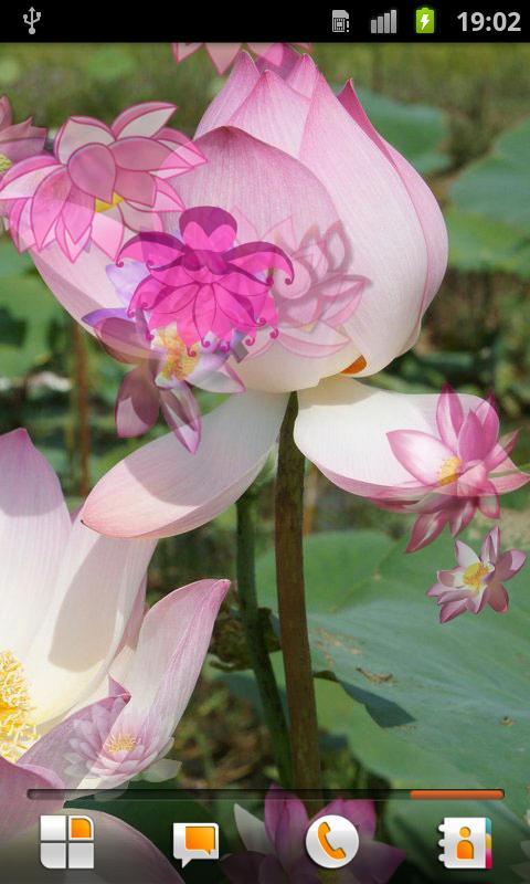 Lotus Live Wallpaper