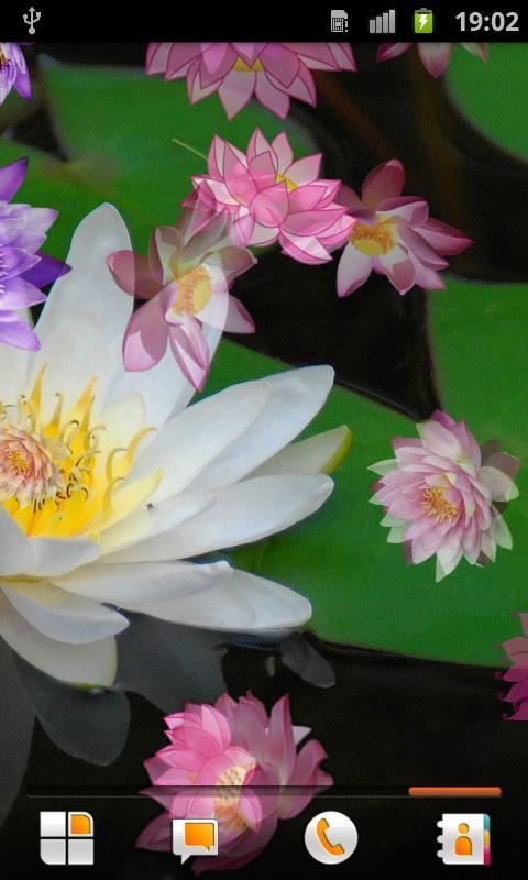 Lotus Live Wallpaper