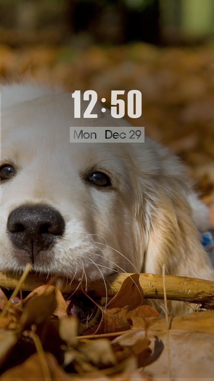 ZUI Locker Theme - Dear Friend
