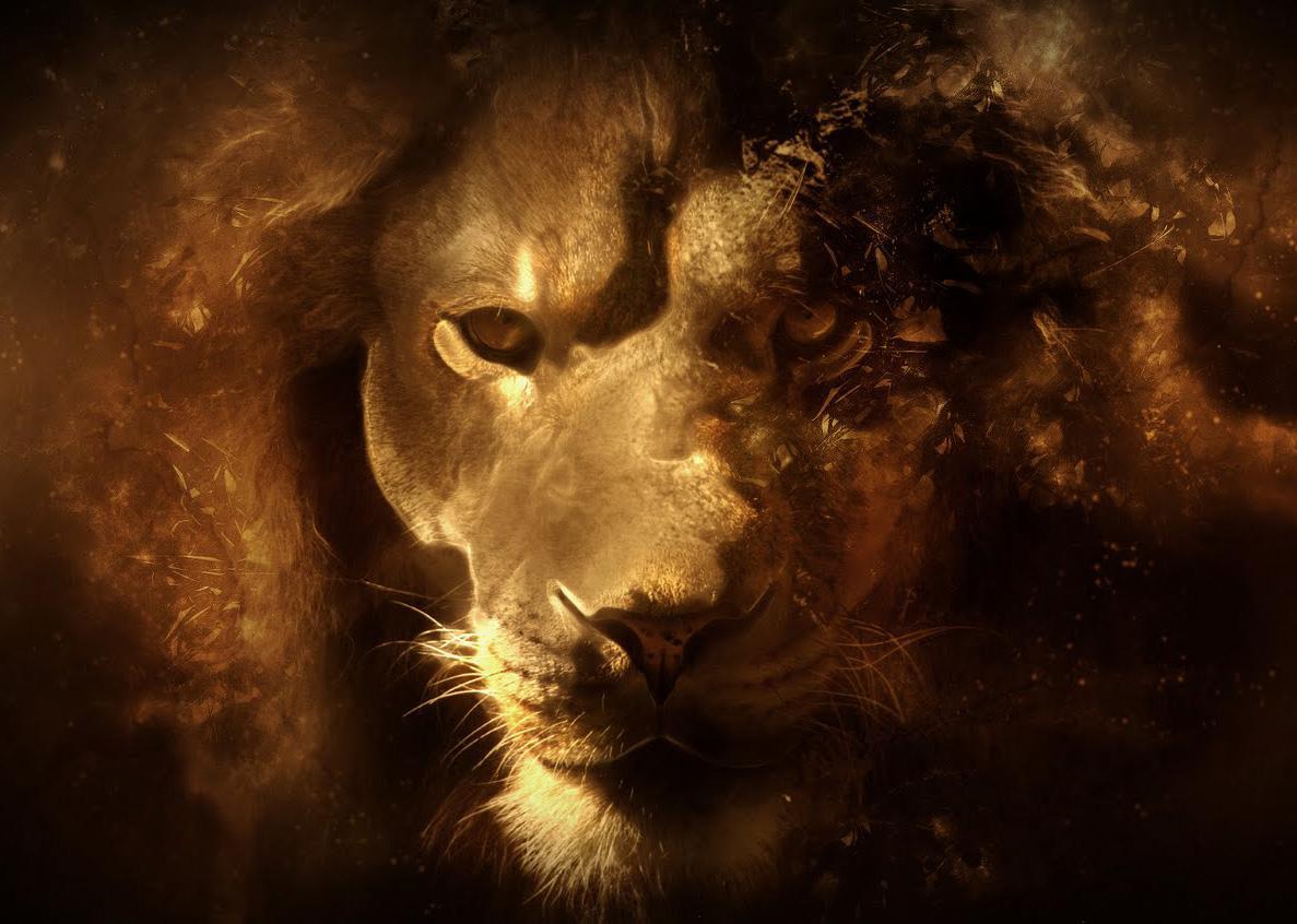 Lion King HD Live Free LWP