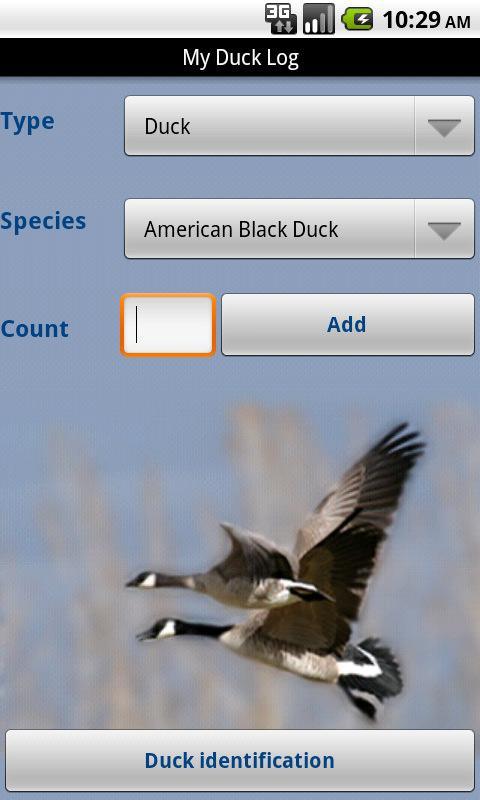 My Duck Log