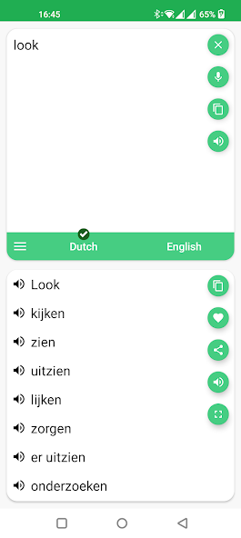 Dutch - English Translator