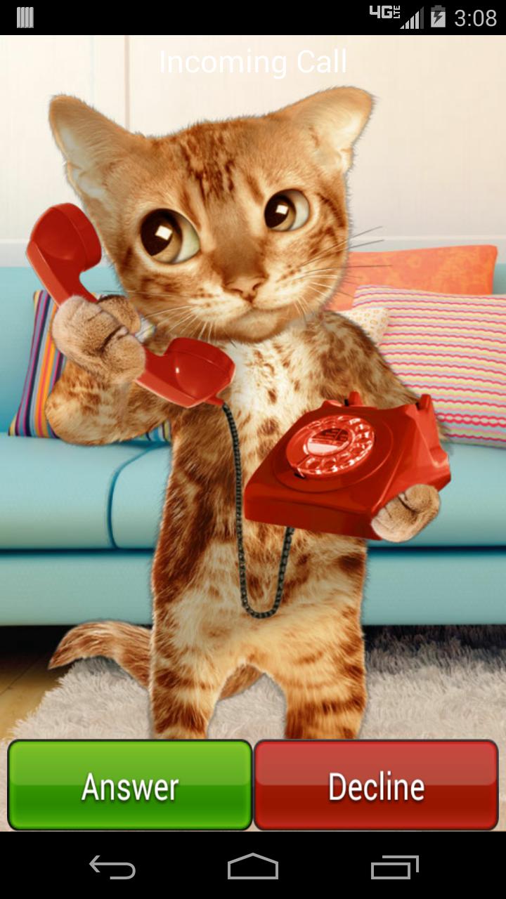 Cat Caller
