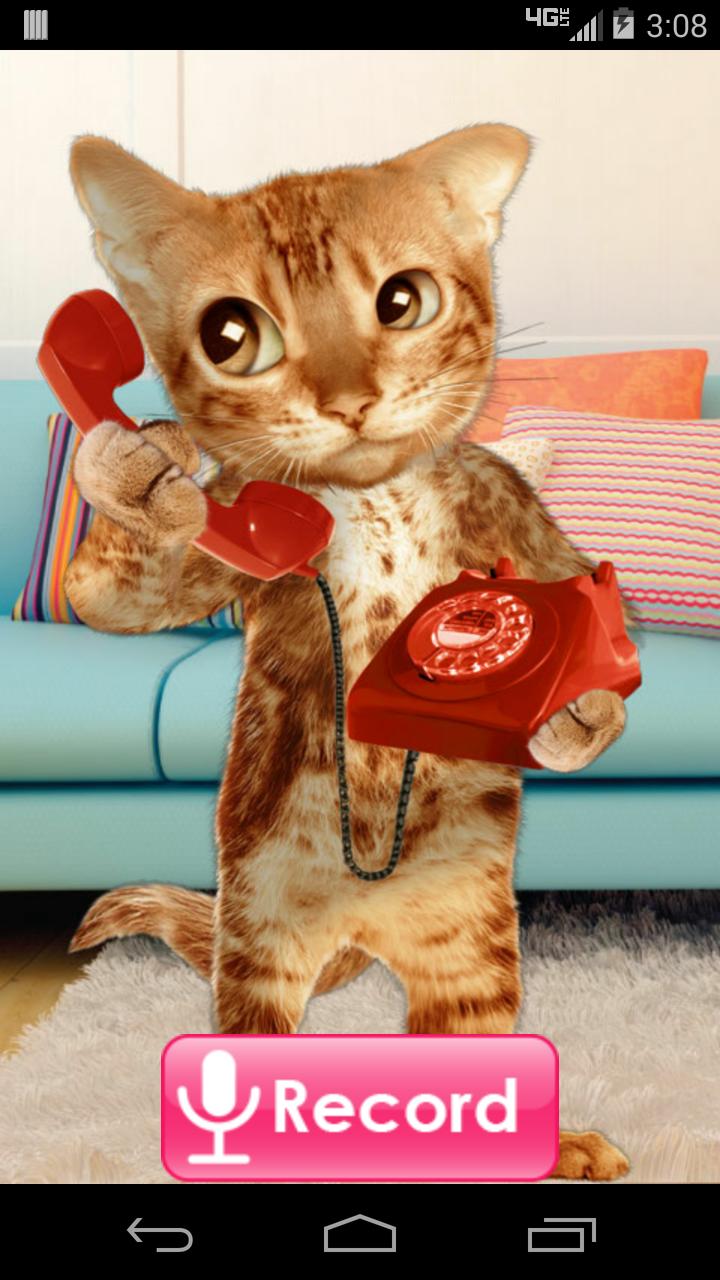 Cat Caller
