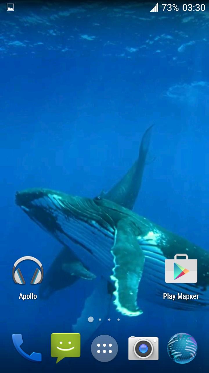 Whale 3D. Video wallpaper
