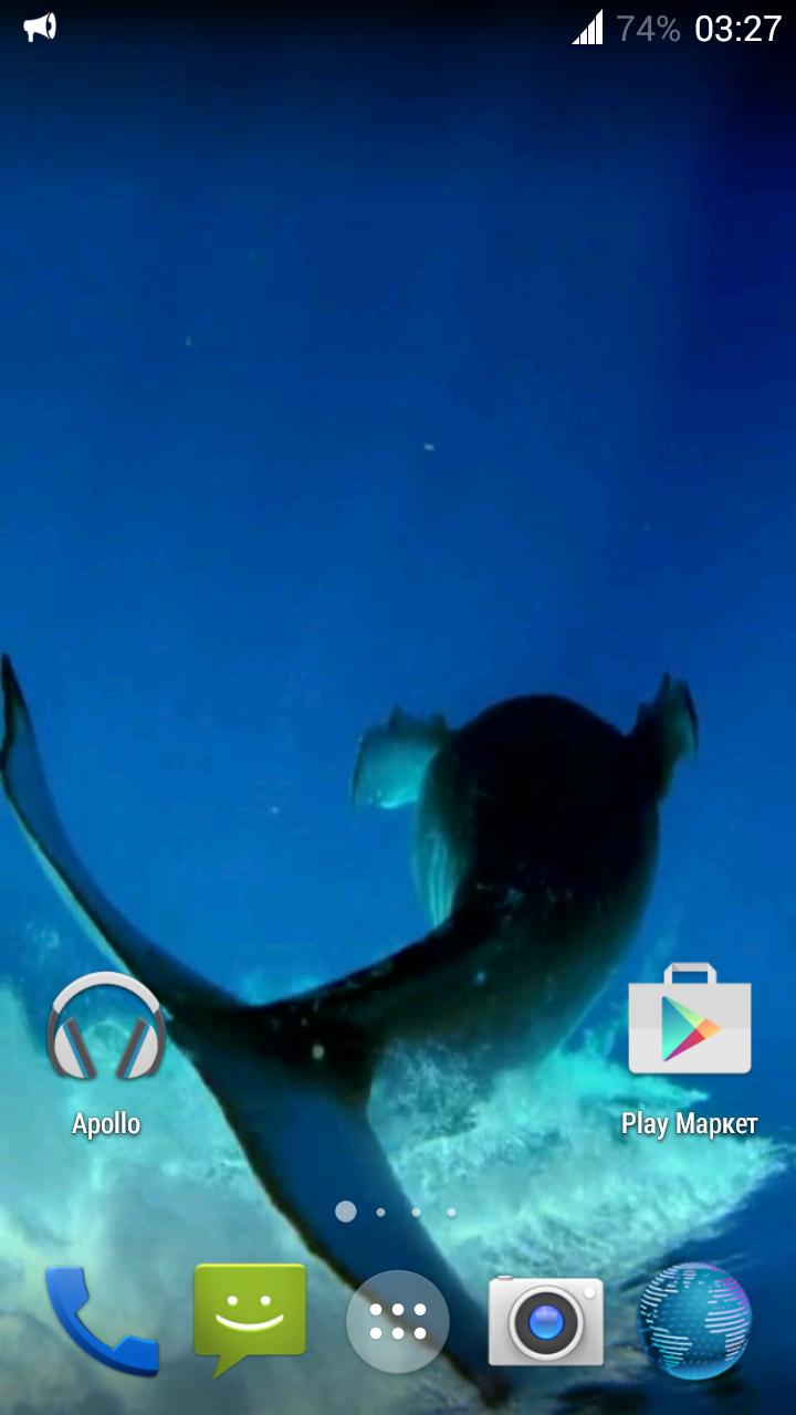 Whale 3D. Video wallpaper