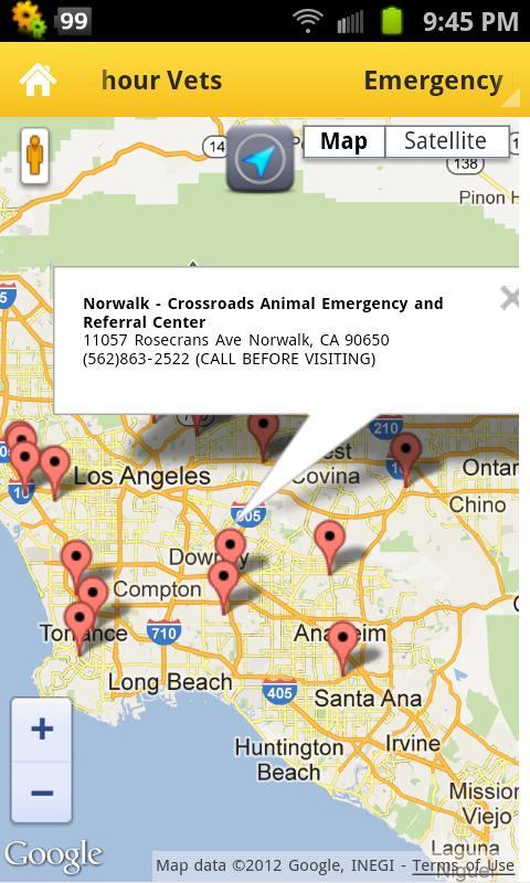 Los Angeles Dog Emergency Tips