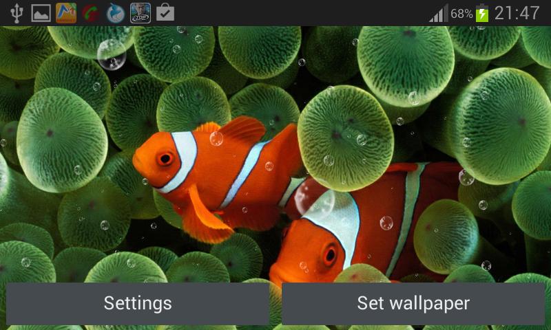 Coral Reef Live Wallpaper