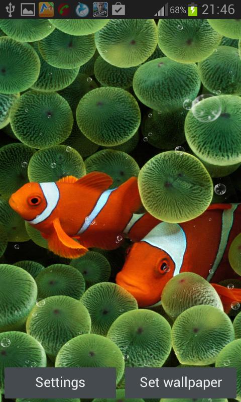 Coral Reef Live Wallpaper