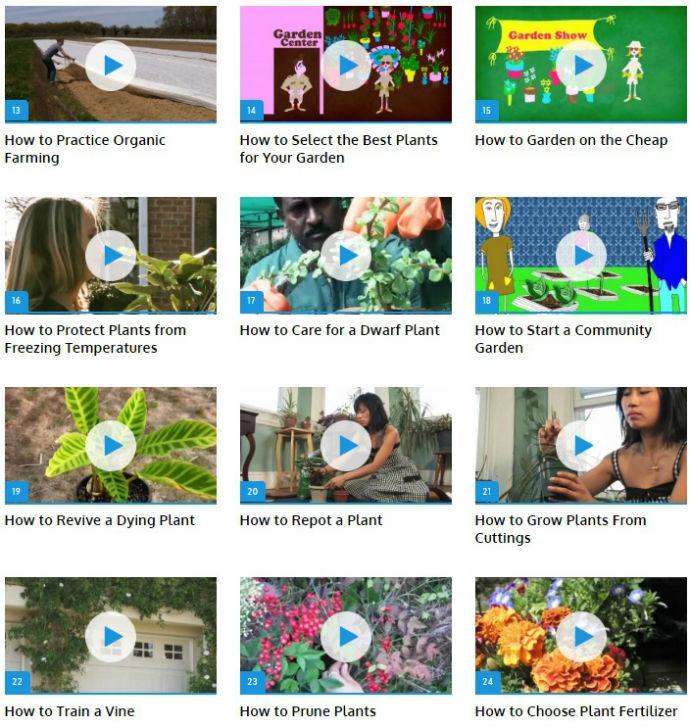 Gardening Tips (Guide)