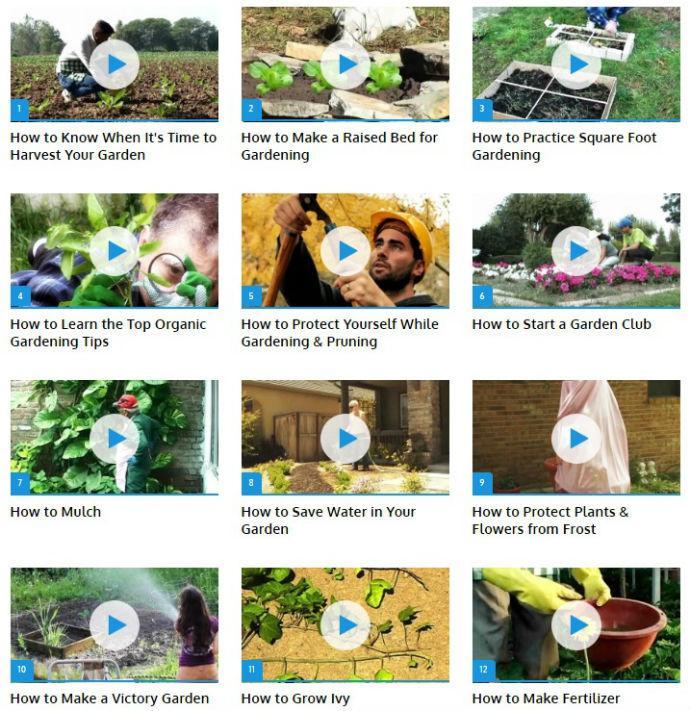 Gardening Tips (Guide)