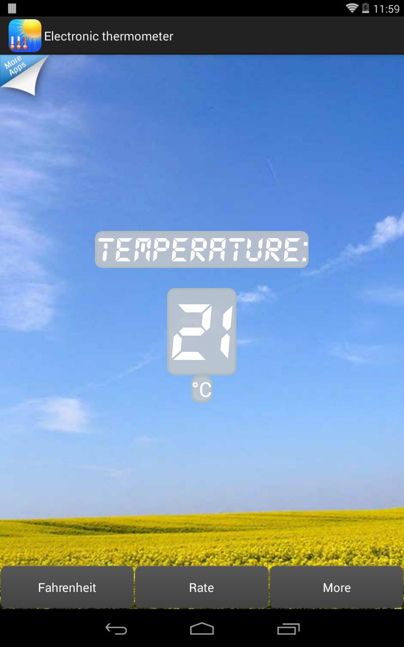 Electronic thermometer