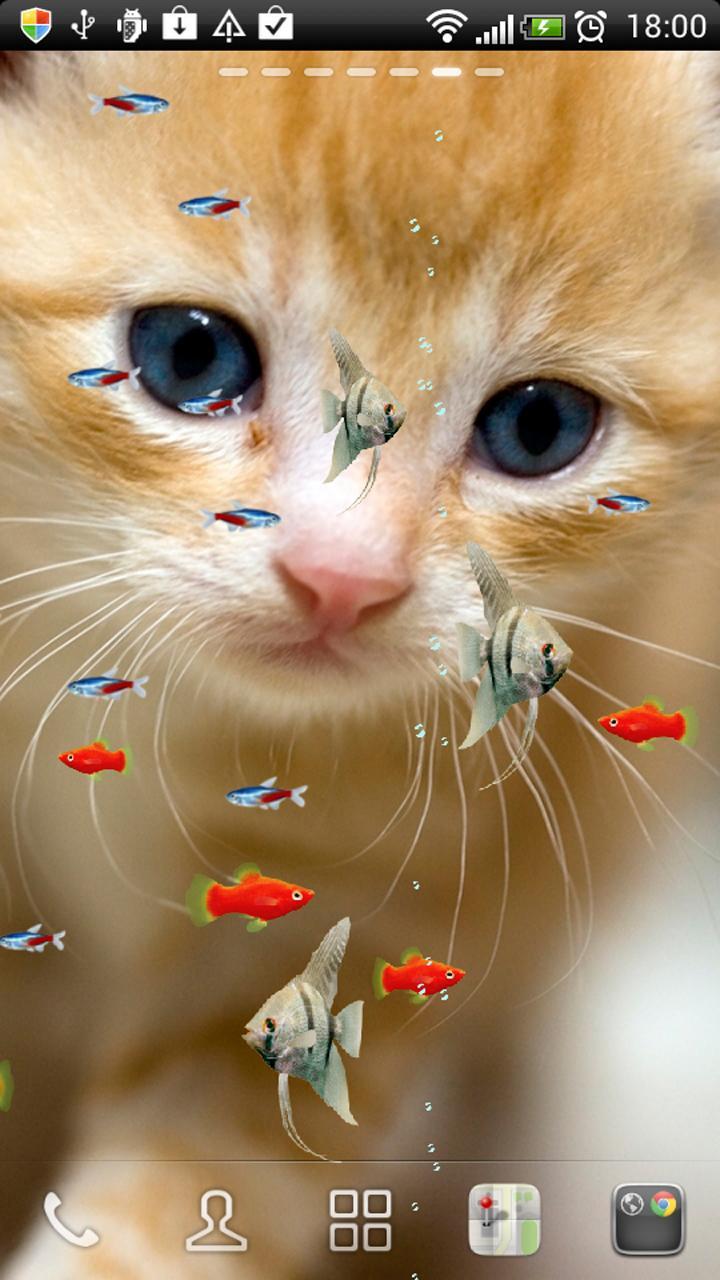 KITTY & FISH LIVE WALLPAPER#11