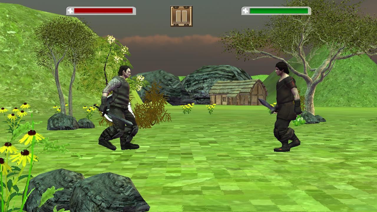 Warrior Assassin Swords Fighting Ninja