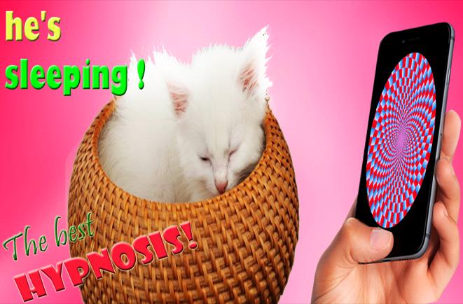Hypnosis Cat Sleeps Joke