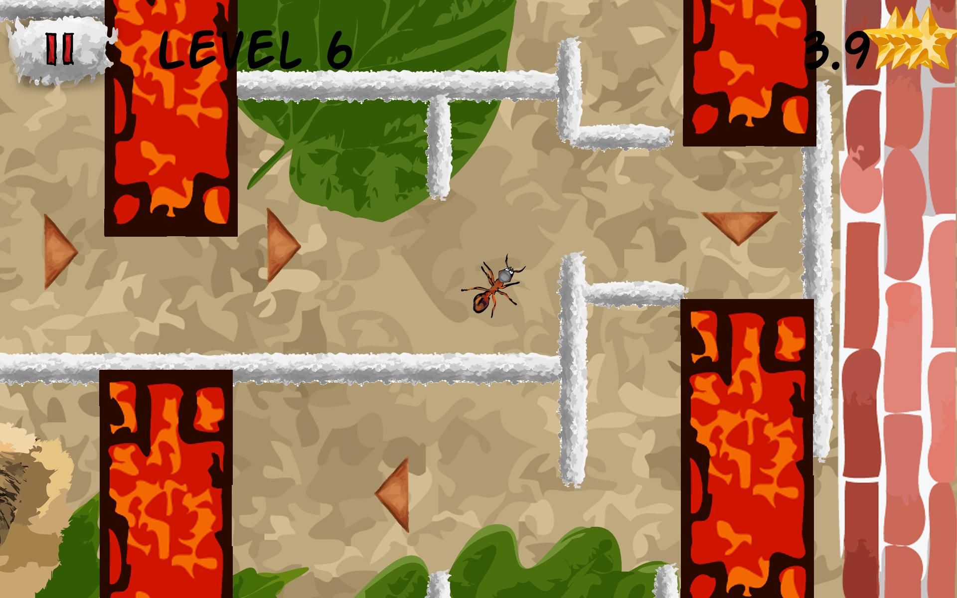 Ant Adventure (Maze Game)
