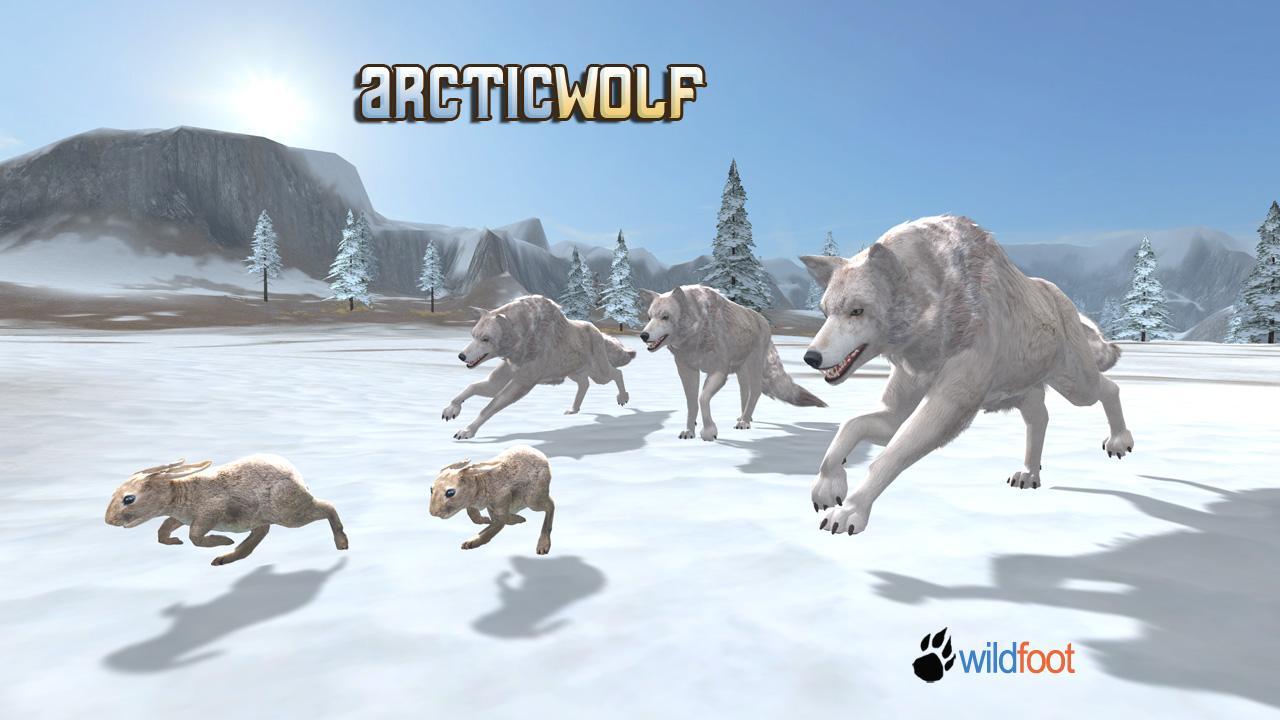 Arctic Wolf