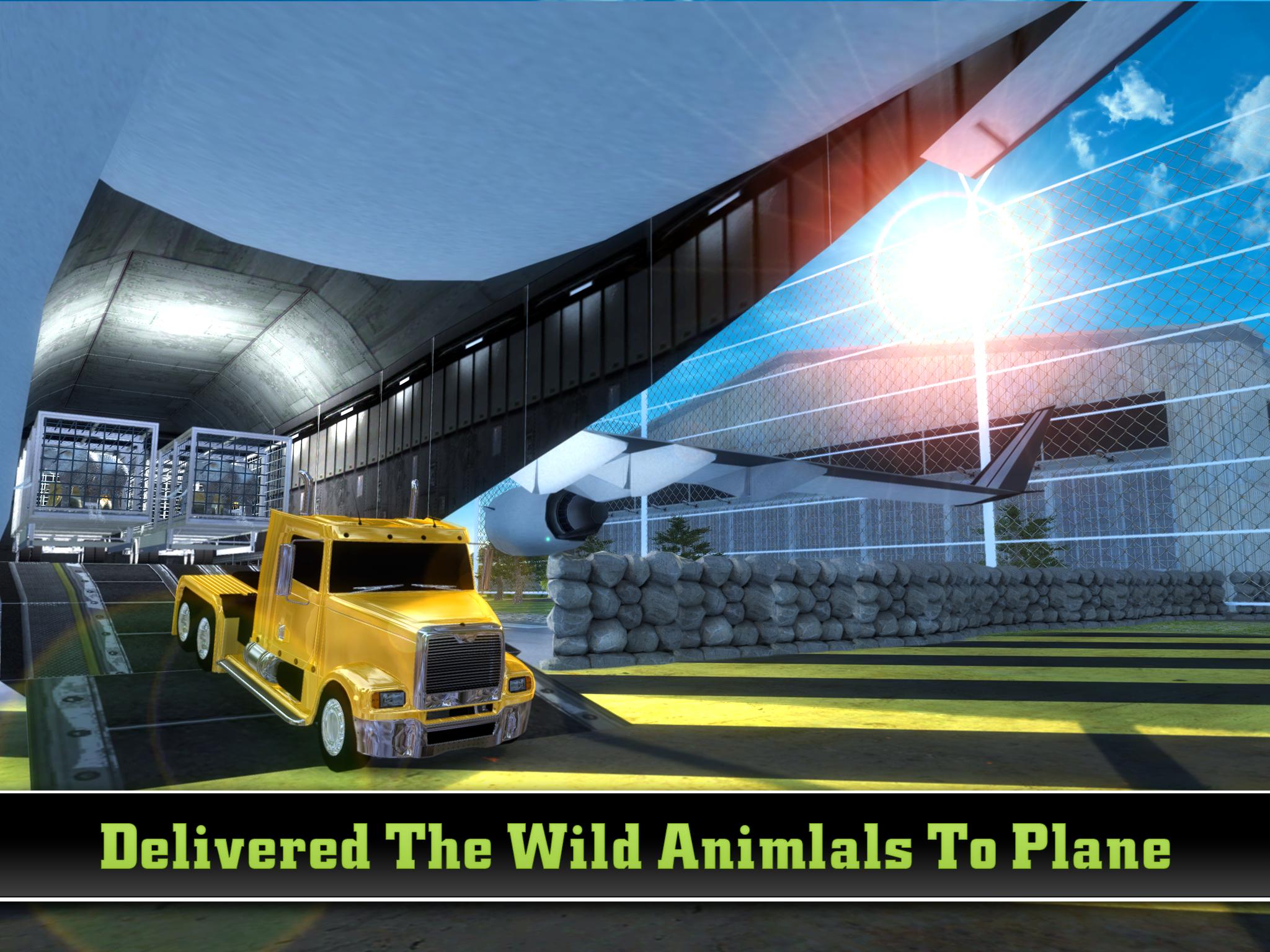 Zoo Animal Cargo Plane Airport