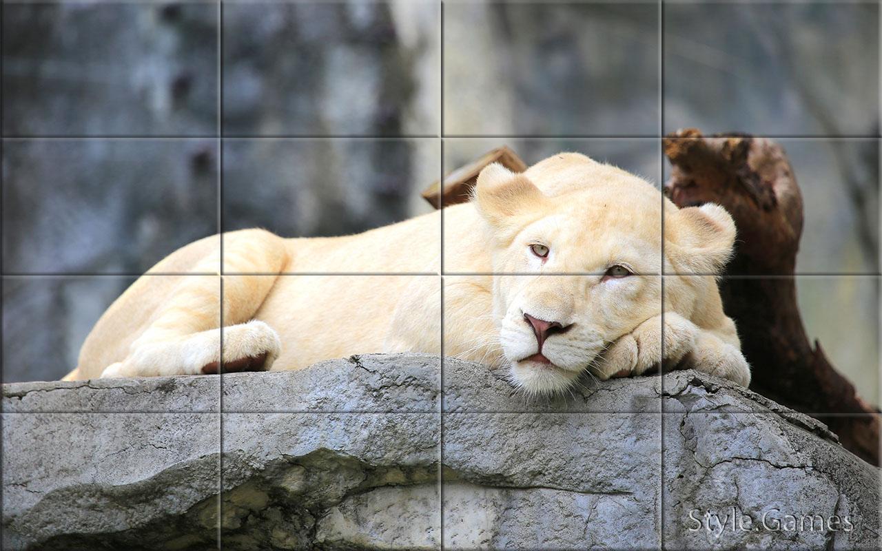 Wildlife Puzzle