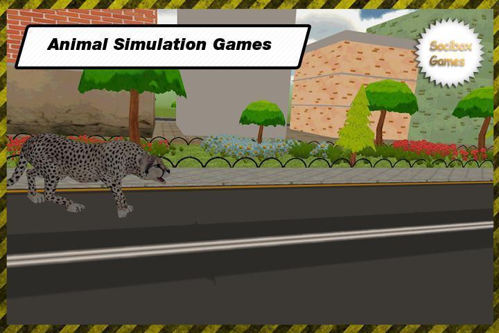 Wild Leopar Simulation