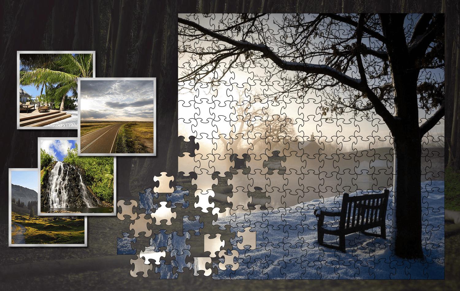 Jigsaw Photo Puzzle Game
