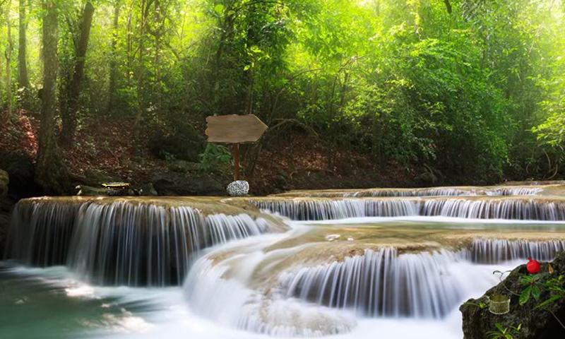 Escape From Amazon Forest