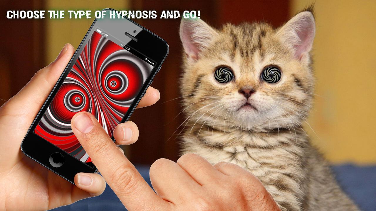 Hypnosis for Cat Prank