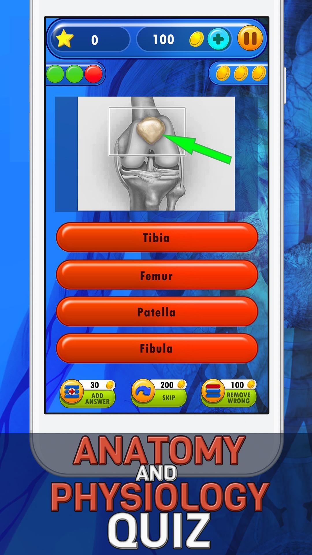 Human Body Anatomy Quiz