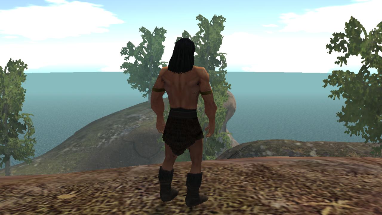 Open World RPG