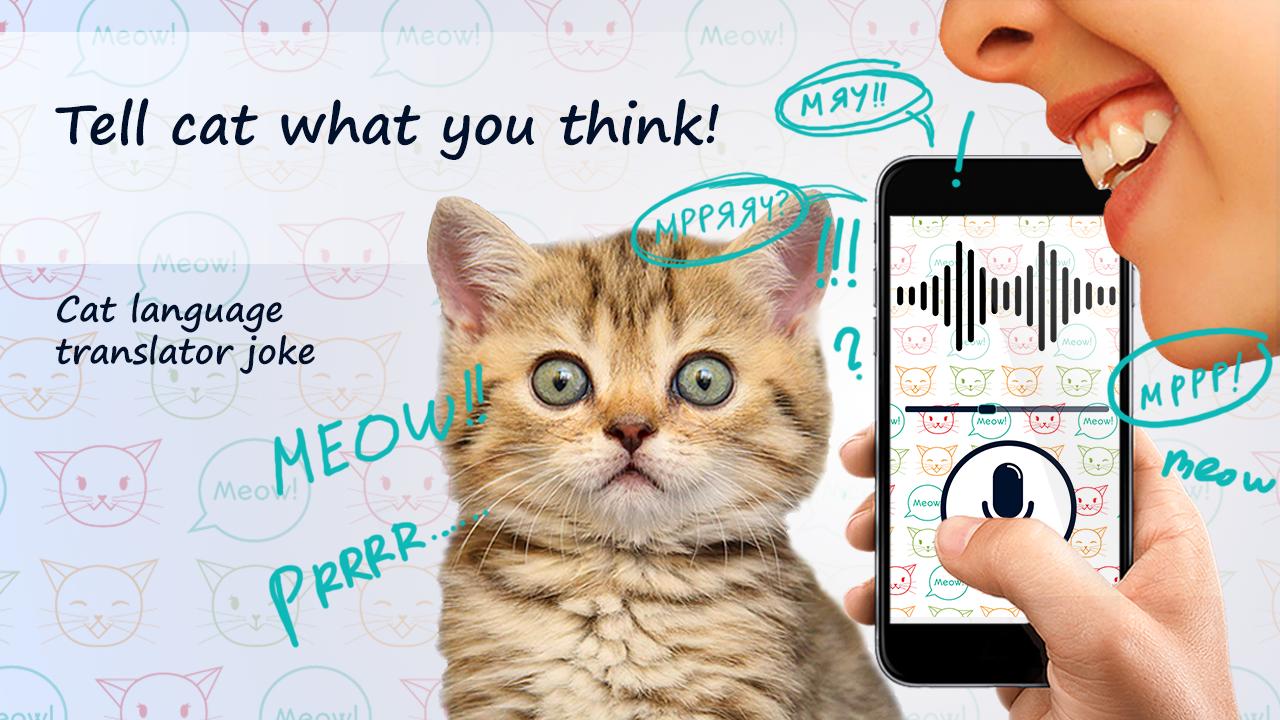 Cat language translator joke